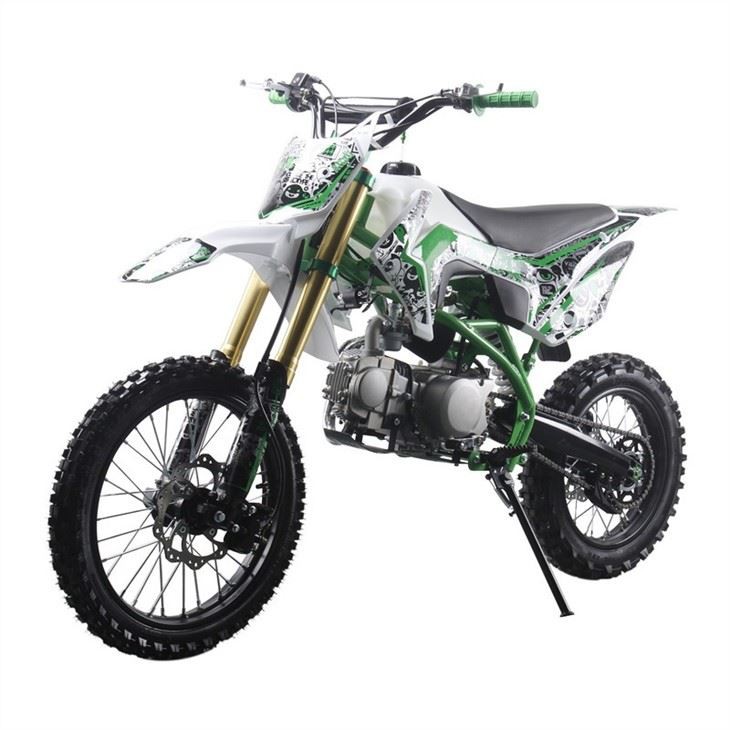 adult pit bike 2