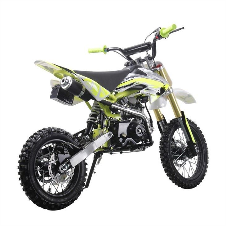 110cc dirt bike 4
