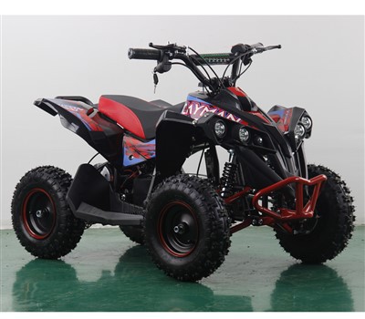 Τετράτροχη μοτοσικλέτα 800w ηλεκτρικής ισχύος για παιδιά